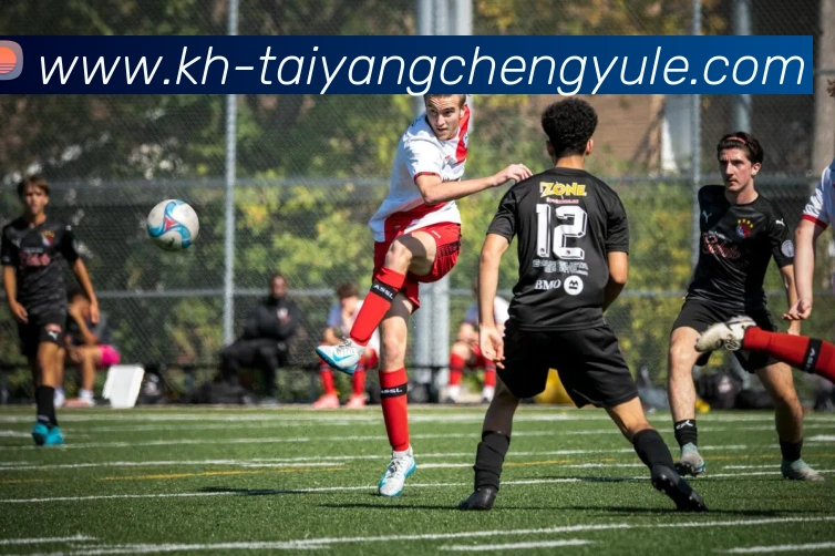 多媒体互动体验